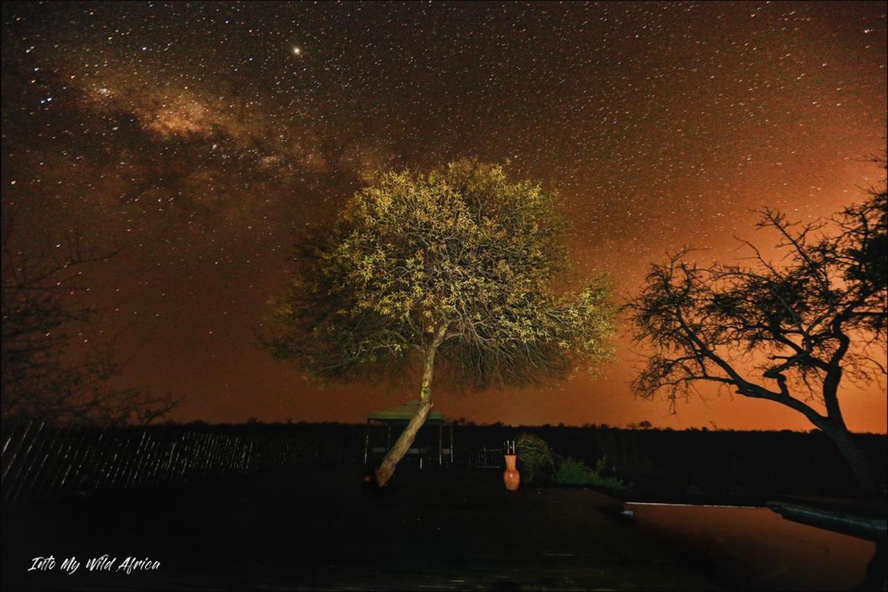 ムウェティ ブッシュ ロッジ Grietjie Game Reserve エクステリア 写真