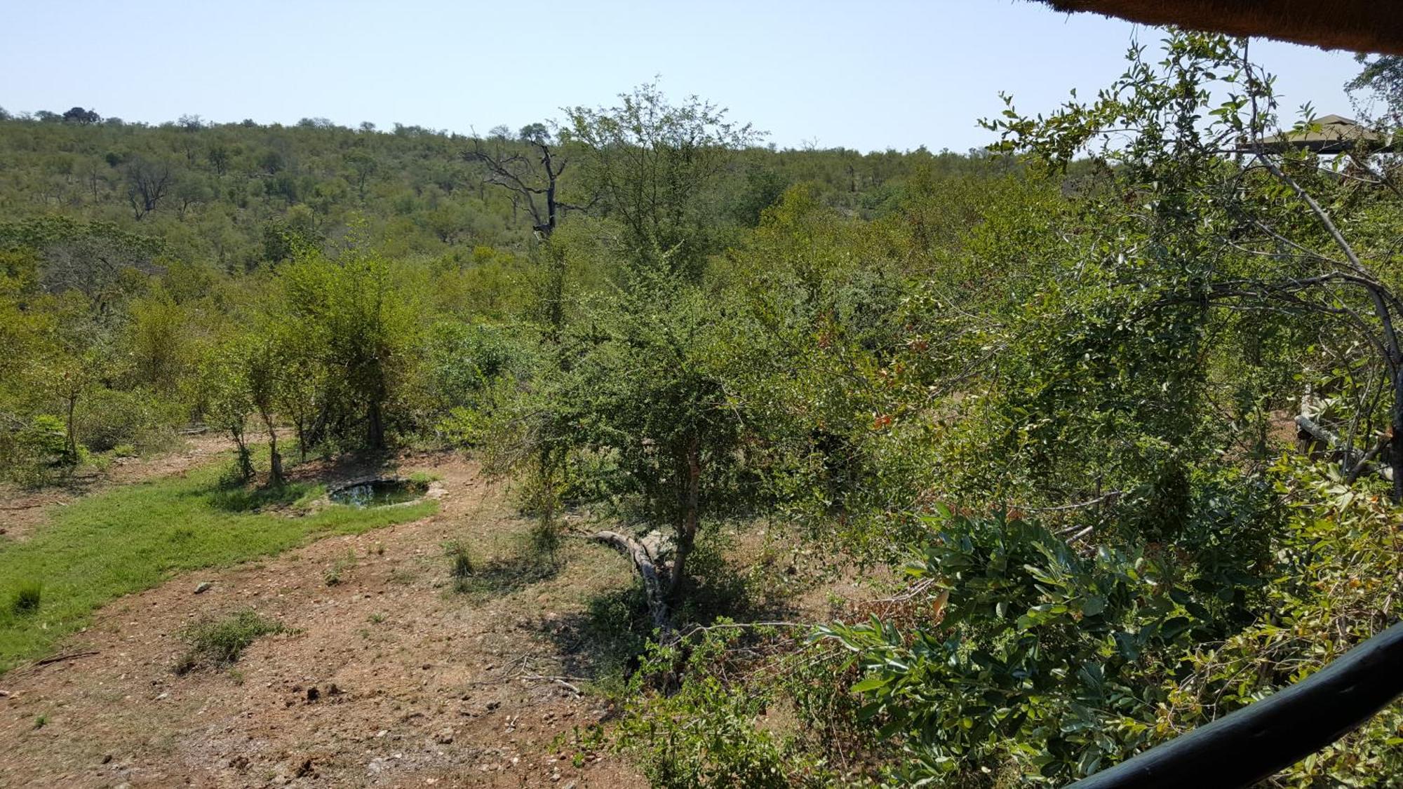 ムウェティ ブッシュ ロッジ Grietjie Game Reserve 部屋 写真