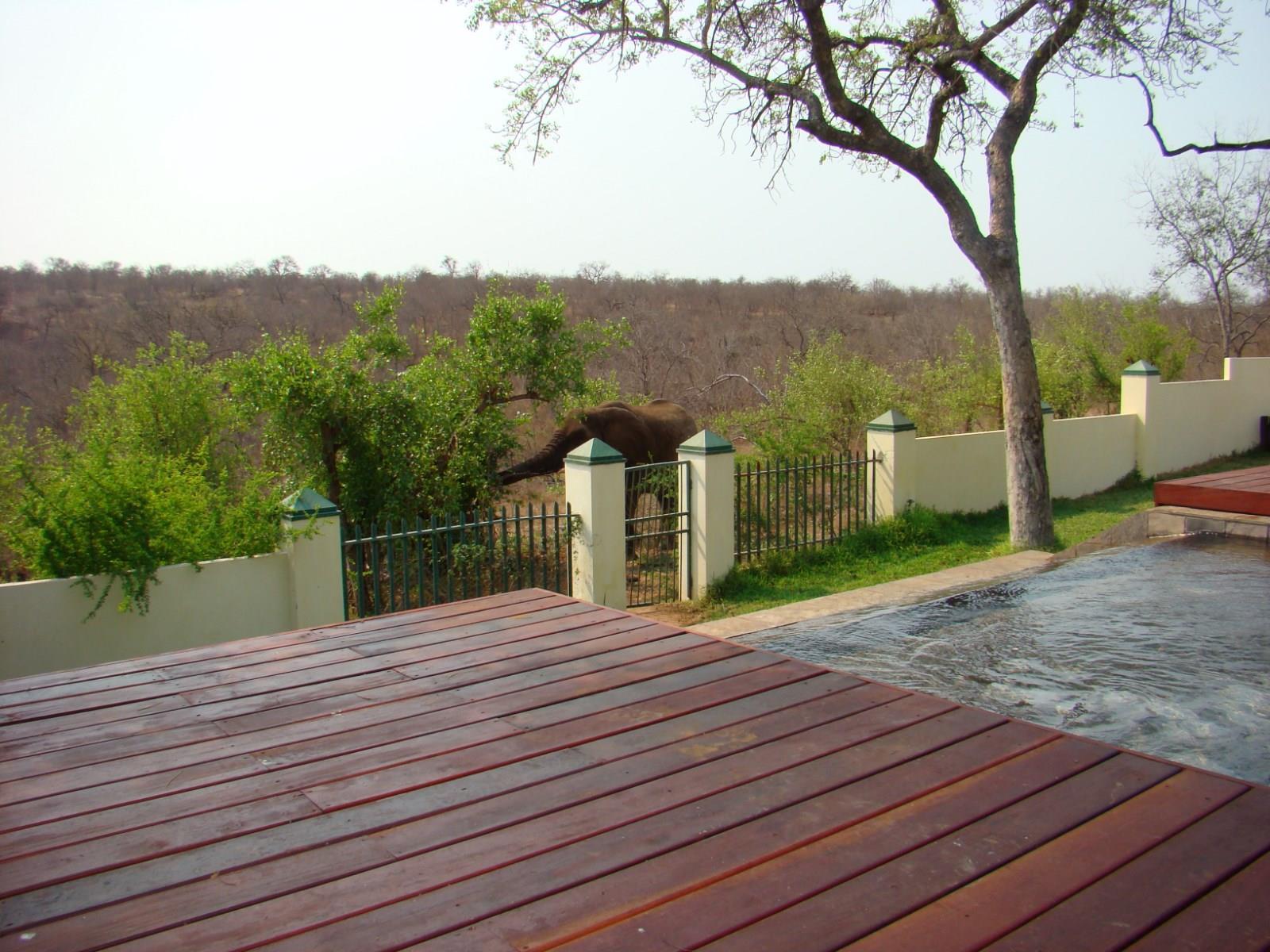 ムウェティ ブッシュ ロッジ Grietjie Game Reserve エクステリア 写真