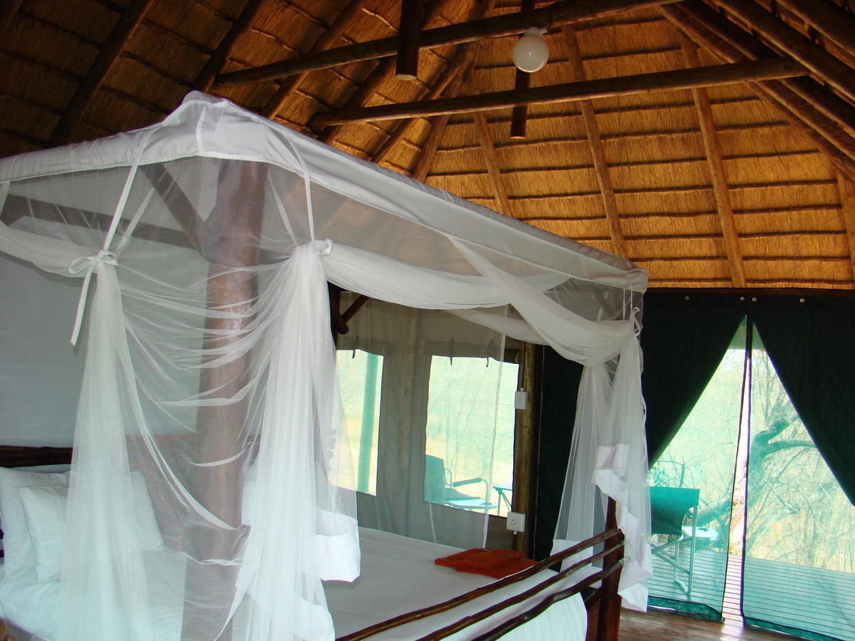 ムウェティ ブッシュ ロッジ Grietjie Game Reserve 部屋 写真