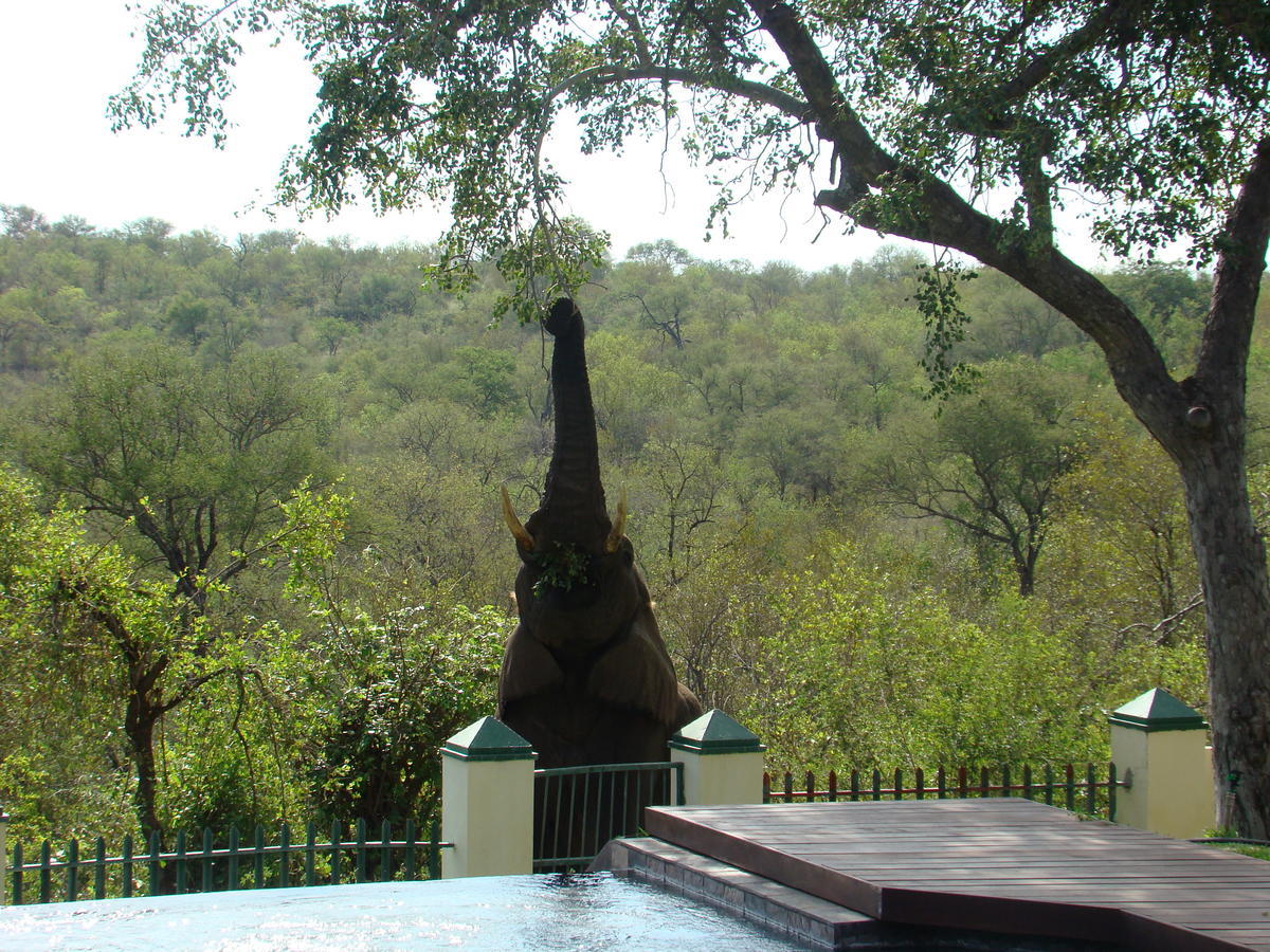 ムウェティ ブッシュ ロッジ Grietjie Game Reserve エクステリア 写真